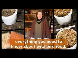 The ULTIMATE Wild Bird Food Guide