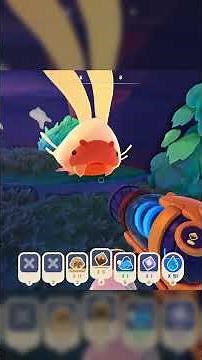 This is a weird level of cute