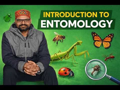 Introduction to Entomology ｜ Definition & Basic Concepts Explained