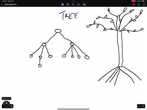 Tree Quickie | Data Structures