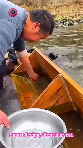 SMART WOODEN STREAM FISH TRAP — gravity-powered flow design #Bushcraft