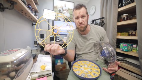 Our tiny quail gets a foot treatment!