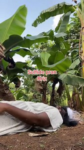 27K views · 1.2K reactions | Nou tal bay on denye omag | Tyo | Facebook