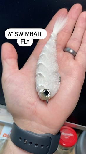 Ryan McFall on Instagram: "Snow White and ready for action. Although smaller flies tend to be more productive in my area, I had to tie this one up for my own pleasure. So fun to fish and track through the water. I may have to do a swim video for this larger version. . . . . . . . . . . . . #bassflies #bassfly #bassflyfishing #swimbaitfly #swimfly #gamechangerfly #gamechangerflies #swgc #slowwatergamechanger #gamechanger #articulationnation #articulatedflies #articulatedfly #articulatedstreamer #
