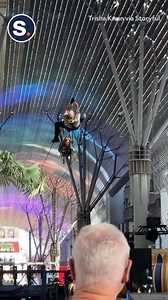 Watch the nail-biting moment a woman is rescued from a stuck zipline! | storyful