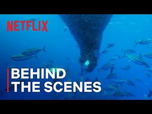 Our Oceans | Fishnado! | Netflix