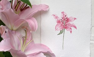 Watercolour Lilies - Paint with me! | Suruchi Gulati (palepinkstudio) | Skillshare