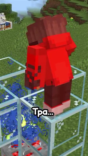 This Can Crash The Game 🤯