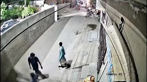 Pet lion escapes and attacks woman in street