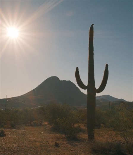 Embracing Cowboy Culture in Arizona RV Life