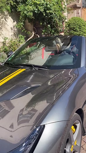 Greetings from Portofino besties :) xoxo