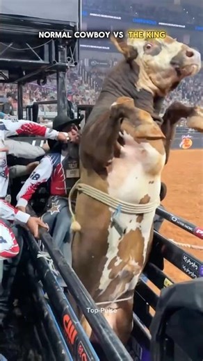 Normal cowboy vs the king 👑🤠