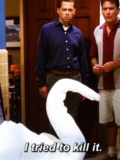 I Love you in 17 different Languages✨ #twoandahalfmen #english #charlieharper #harper #fyp