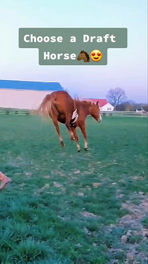 #drafts #drafthorse #mcdonaldshacks #DIYwithBlock