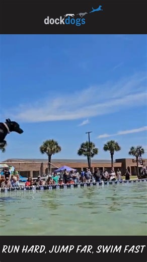 1.9K views · 21 reactions | We had one rockin' dock at the Palmetto Sportsmen's Classic over the weekend - were you there?! Let's get a show of hands - Team Columbia  or Team Conway‍♀️?! Drop your pics and videos below of the dock jumpin' fun you had over the weekend in South Carolina!  | dockdogs | Facebook