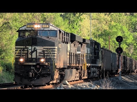 NS 8083 Leads Empties at ARK