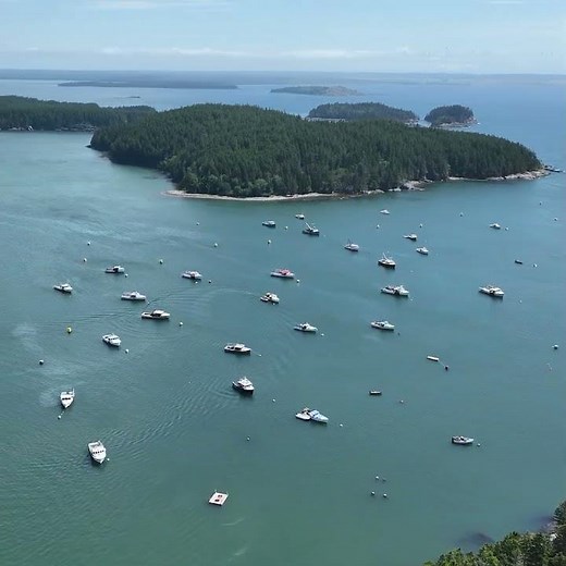 Bucks Harbor! 🦞⚓#lobsterboats #lobster #machiasportmaine #downeastmaine #maineharbors #dronelife
