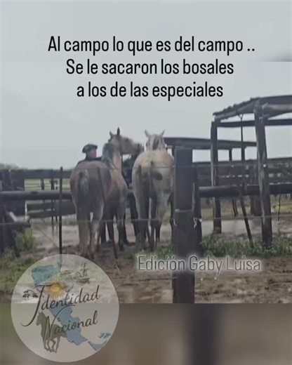Se les sacaron los bosales a los de las especiales Al campo lo que es del campo . | Gaby Luisa