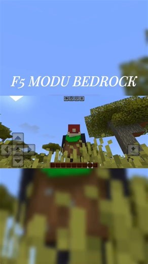 Minecraft f5 modu bedrock #minecraft #kesfeteyyiz #keşfet #edits