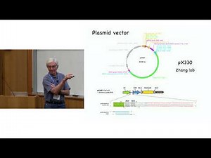 Dana Carroll: Delivery Methods