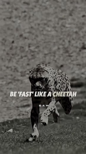 Be fast like a cheetah ..🔥#motivation #quotes