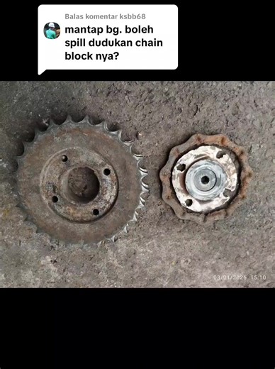 Screw Conveyor Design for Palm Oil Plants