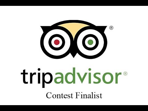 TripAdvisor Video Contest Finalist: Owl Eyes