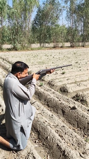 Wildlife Hunting Adventure with 12 Gauge Shotgun