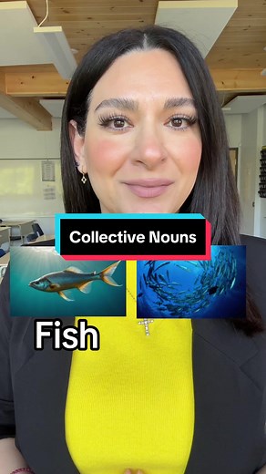 Understanding Collective Nouns in English Language