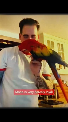 1.8K views · 113 reactions | “Abandoned Macaw Finally Finds Happiness...