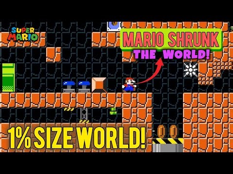 [Super Mario Bros] When the Mario world has a mini version
