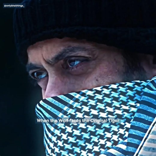 Salman Khan Tiger Zinda Hai Movie Entry