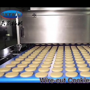 [Hot Item] Semi Automatic Cookies Making Machine Biscuit Production Line