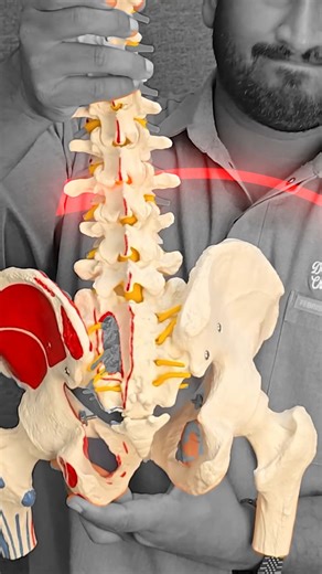 Mobility Works Physiotherapy & Chiropractic on Instagram: "Struggling with low back pain, stiffness after sitting, or pain while bending? These simple physiotherapy exercises help reduce pain, improve mobility, and prevent future back problems. ✅ Best for: • Muscle-related low back pain • Disc-related stiffness (L4-L5, L5-S1) • Sitting job back pain • Early stage sciatica (non-severe) ❌ Avoid if you have severe pain, numbness, or bladder/bowel issues — consult a physiotherapist first. 📍 Perform