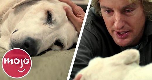 Top 10 Saddest 2000s Movie Endings | Articles on WatchMojo.com