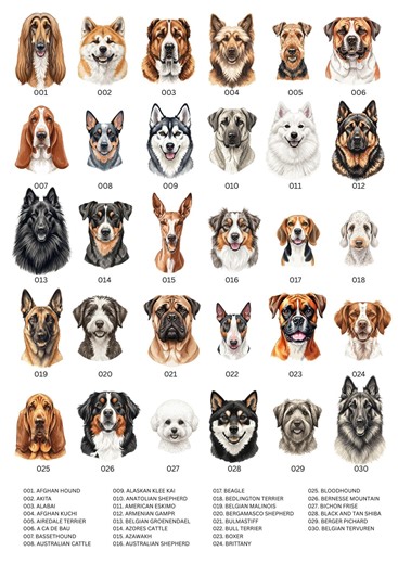100 Watercolor Dog Breeds Portraits Clip Arts Bundle (PNG) - Etsy