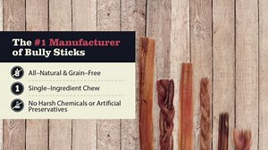 Redbarn 12" Braided Bully Sticks for Dogs 2-Count, Pack of 1