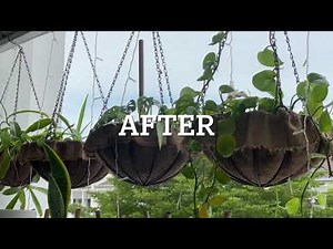 DIY Burlap Planter Liner