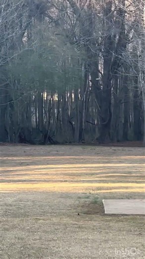 Hole 7 at JP one of my favorites on this beautiful course