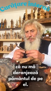 602K views · 10K reactions | Ce face Calgon în mașina de spălat, face această rădăcină în organism Curăță rinichi, fiere, elimină setea | Ciuperci medicinale anti-cancer | Facebook