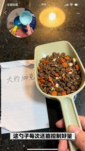 Cute Pet Meals: Ultimate Daily Diet Guide for Happy Paws