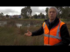 Community improving frog habitat