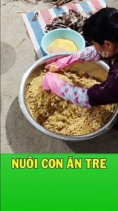 Cách nuôi con ăn tre đẻ ra tiền