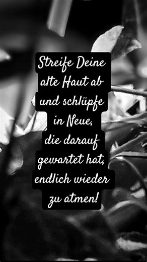 Häute Dich! #lyrik #sprüche #liebe #lebensweisheiten #emotionen #motivation #zitate #tiefgründig