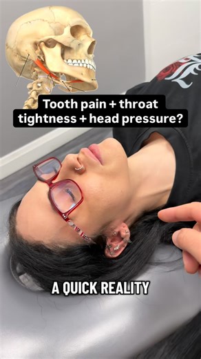 MOVABILITY on Instagram: "If your “toothache” has no dental explanation, your throat feels tight but ENT says you’re fine, and you’re also dealing with jaw clicks, ear pressure, neck tension, or head pressure that changes with position, you might not have five separate problems. One small muscle under the jaw can blur the lines between dentistry, ENT, neurology, and musculoskeletal care: the digastric. This is a pattern I screen for constantly in complex chronic pain. In the clip, I’m palpating 