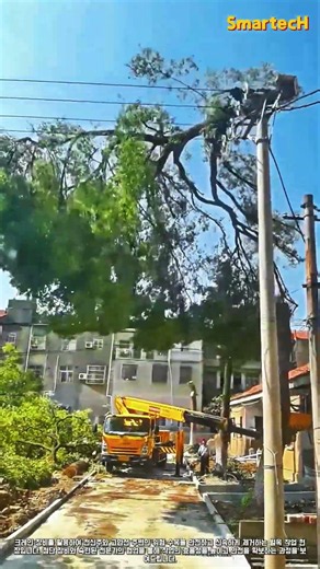 고압선 주변 위험 수목 제거 작업 현장 #worker #process #logging #crane #safety