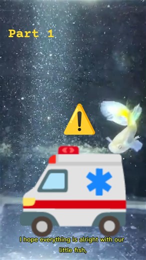 Trying to save the little fish