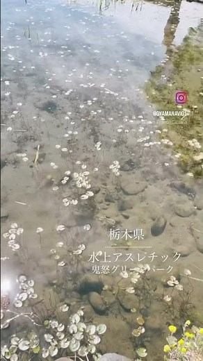 スリル満点すぎる水上アスレチック|栃木県・鬼怒グリーンパー #栃木県 #公園 #水上アスレチック#アスレチック#子どもと遊ぶ