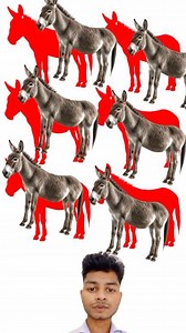 Social media Challenge Video 🤔 Ass round circle stop challenge video in shadow #socialmediachallenge #foryou #viral #puzzle #circle | The Circle Challengers