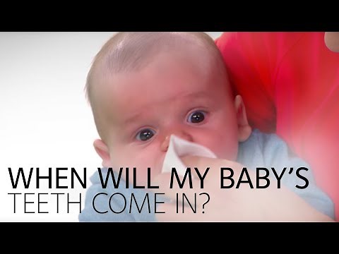 When Will My Baby’s Teeth Come In?